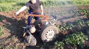 Окучивание картофеля мотоблоком Фаворит на Нивовских колёсах R16 2021г.