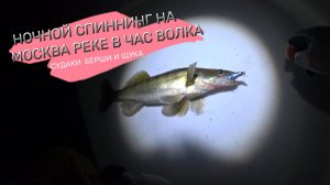 Москва река. Судак на воблеры ночью.