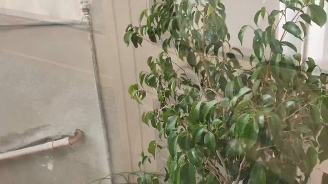 Глубинка Сардинии! Как живет деревня) смотреть онлайн