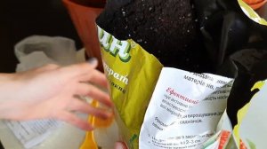 Как Пересадить Павловский Лимон?Пересаживаю Цветущий Лимон?