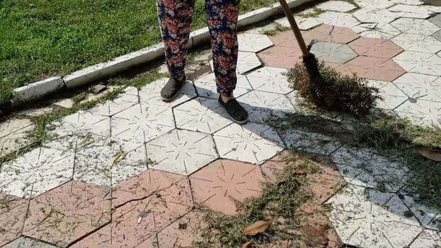 Метлы из иглицы | Жизнь на Юге