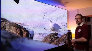 The Ultimate 120inch Vividstorm S PRO Screen #vividstorm #laser #projector #smarttech