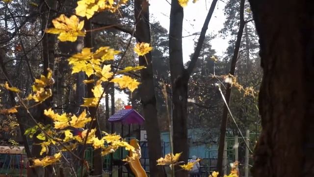 День бабьего лета