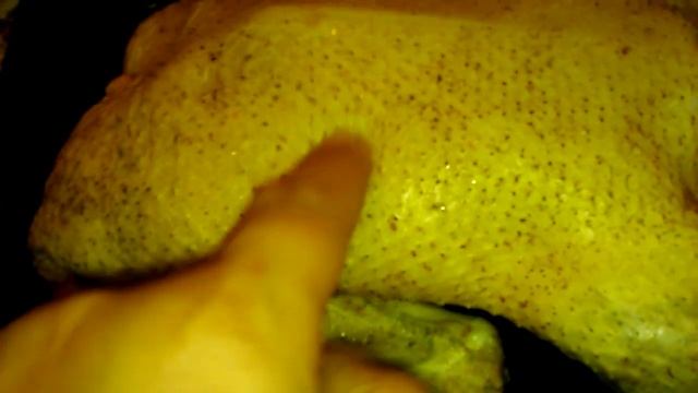 Башкирская утка. Забой в 45 суток. смотреть онлайн