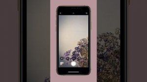 Как установить формат фото 16:9 на iPhone навсегда