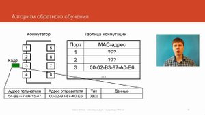 Коммутаторы Ethernet | Курс "Компьютерные сети"