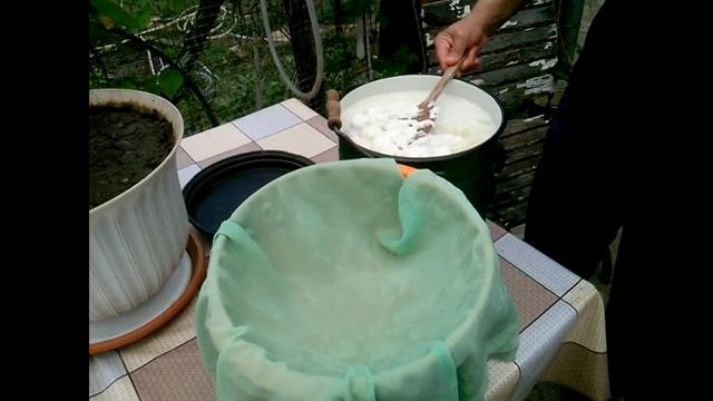 Натуральная брынза из козьего молока. Что такое тяг?