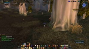 Quest 1416: Aroom's Farewell (WoW, human, paladin)