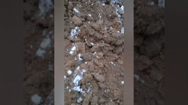 новый объект уборка снега и копка грунта подготовки для (ушп) Утепленная Шведская Плита смотреть онлайн