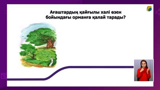 Әдебиеттік оқу 2сынып 80сабақ Жайқалып өссін тал-терек