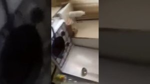 Что будет если в раскаленное масло налить воду
