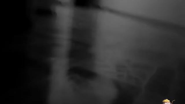 Глазами кошки смотреть онлайн