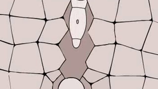Особенности растений-паразитов