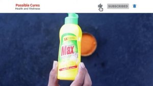 Best Natural Homemade Insecticide for Vegetable Garden – Save Your Garden