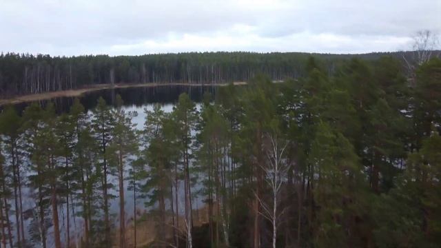 Озеро воробьево Приозерский район смотреть онлайн