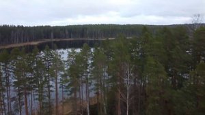 Озеро воробьево Приозерский район