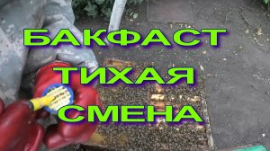 ПЧЕЛЫ САМИ РЕШАЮТ КОГДА МЕНЯТЬ ПЧЕЛИНУЮ МАТКУ.mp4