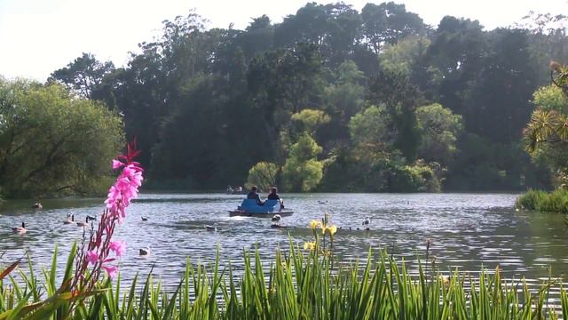 Расстановки по Хеллингеру в Москве смотреть онлайн