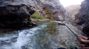 Рыбалка в Кыргызстане . Ловим форель по горным рекам