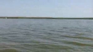 Г.Лагань