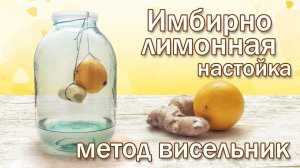 Настойка Висельник на лимоне и имбире Рецепт настойки на самогоне спирте или водке.