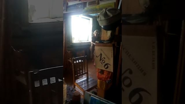 23 декабря 2018 г. Виктор Тихомиров Жил Был Пес Музей Пса смотреть онлайн