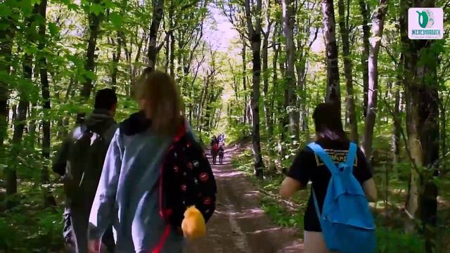 Знамя Победы поднимут на гору Бештау
