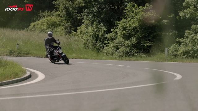 Abgeschnallt seit den 50ern! Monkey - Dax - Super Cub - Hondas A1 Retropalette im Test