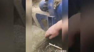 Видео отзыв сенорезки 2,2 квт и гранулятор "Кутко" 2,2 квт с частотным преобразователем.