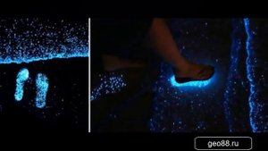 Невероятный, светящийся пляж на Мальдивах