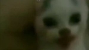 я рассказал что знал