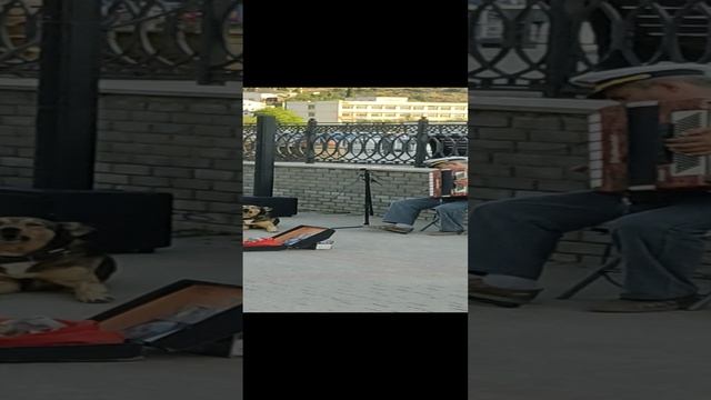 VID_20230814_183725.mp4