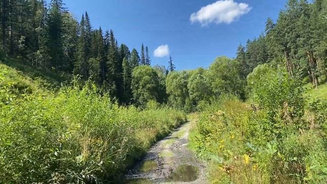 Хакасия. Саяно-Шушенская ГЭС. Тайная смотровая площадка смотреть онлайн