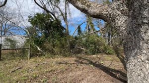 РАБОТА НА ФЕРМЕ В США🇺🇸 #жизньвсша #америка #ферма