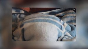 КАК ВЫВЕСТИ МОКРОТУ ИЗ ЛЕГКИХ?!