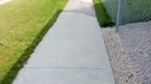 2. Канада. Виннипег. Первая прогулка по району