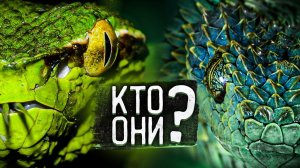 ЗМЕИ - ЧТО МЫ О НИХ НЕ ЗНАЕМ? Документальный фильм о самых скользких рептилиях, которых все боятся