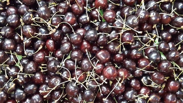 Черешня Крым смотреть онлайн