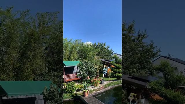 Соль в пруду/Всё своими руками/Пруд возле дома/Пруд на своём участке