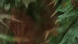 Flotsam And Jetsam-"Better off dead"