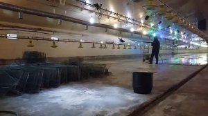 Влажная дезинфекция корпуса птичника