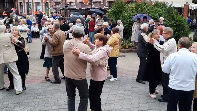 Вот И Закружился Ноябрь В ВАЛЬСЕ Листопада... смотреть онлайн