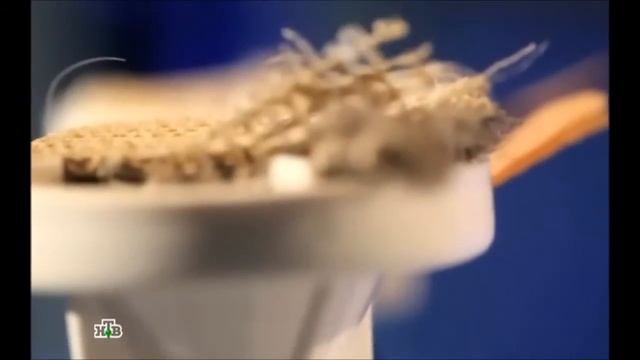 Проверка ковра на пыль и плесень смотреть онлайн