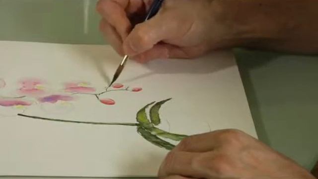 Watercolor Painting: An Orchid : Watercolor Painting an Orchid: Detailing the Stem смотреть онлайн
