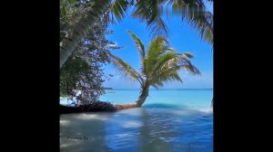 Бирюзовое море, пальмы\релакс\позитив❤Turquoise sea, palm trees \ relax \ positive👍