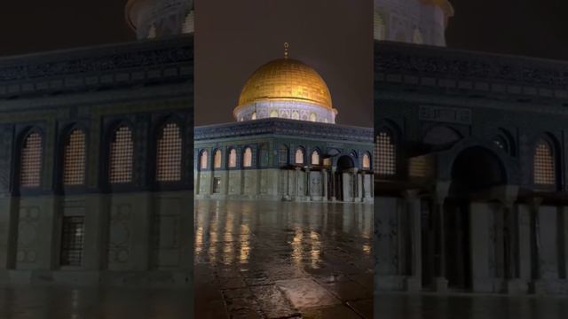 MA SHA ALLAH #palastine #freepalestine #alaqsa #savepalestine #allahﷻ #domeoftherock