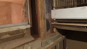 Проверка куриных яиц перед закладкой в инкубатор или наседке.