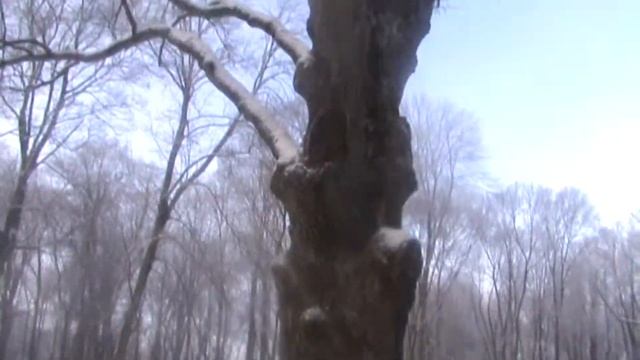 vatravel.ru Музей-заповедник И.С.Тургенева "Спасское-Лутовиново" (Орловская область) смотреть онлайн