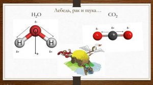 Готовимся к ЕГЭ по химии с нуля. Полярность молекул и связей.