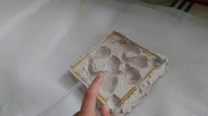 Самодельный гипсовый формикарий.